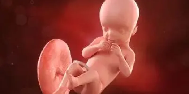 Semana 21 de embarazo: ¡Empieza a tragar líquido amniótico!