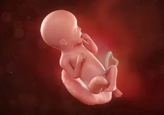 Lee más sobre el artículo Semana 24 de embarazo: ¡Sus pulmones maduran!