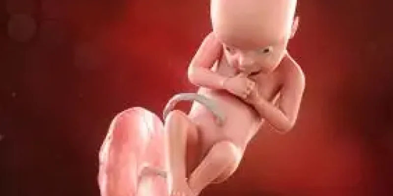 Semana 28 de embarazo: ¡Comienza el tercer trimestre!