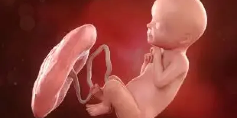 Semana 29 de embarazo: ¡Ya reconoce la luz!