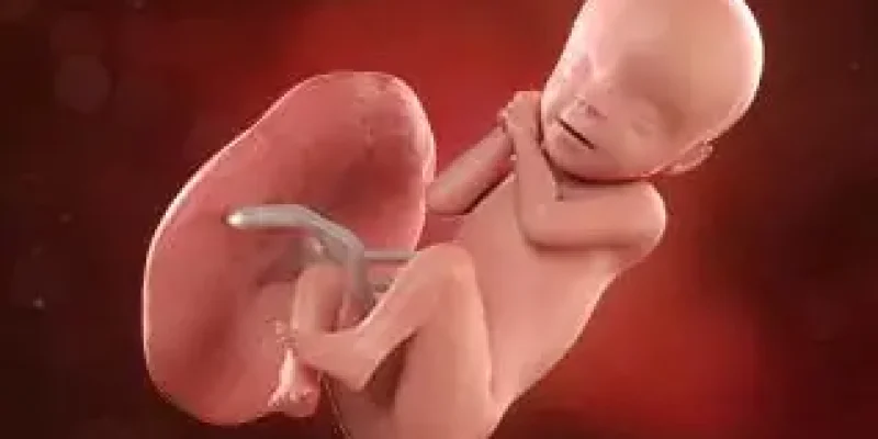 Semana 30 de embarazo: ¡Ya regula su temperatura!