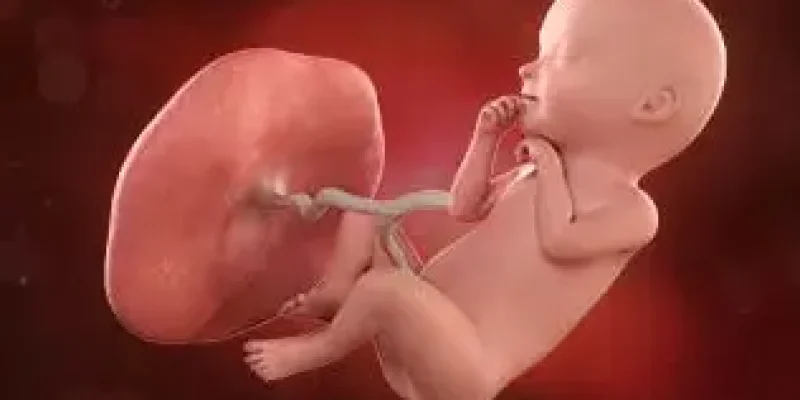 Semana 31 de embarazo: ¡Sus sentidos están muy desarrollados!