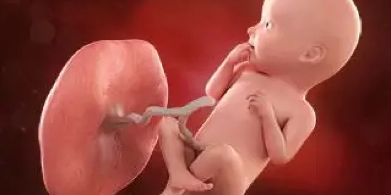 Semana 32 de embarazo: ¡Se prepara para nacer!