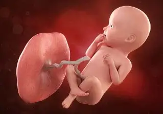 Lee más sobre el artículo Semana 32 de embarazo: ¡Se prepara para nacer!