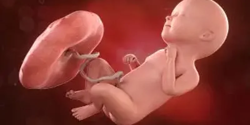 Semana 34 de embarazo: ¡Sus pulmones están casi listos!