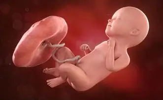 Lee más sobre el artículo Semana 34 de embarazo: ¡Sus pulmones están casi listos!