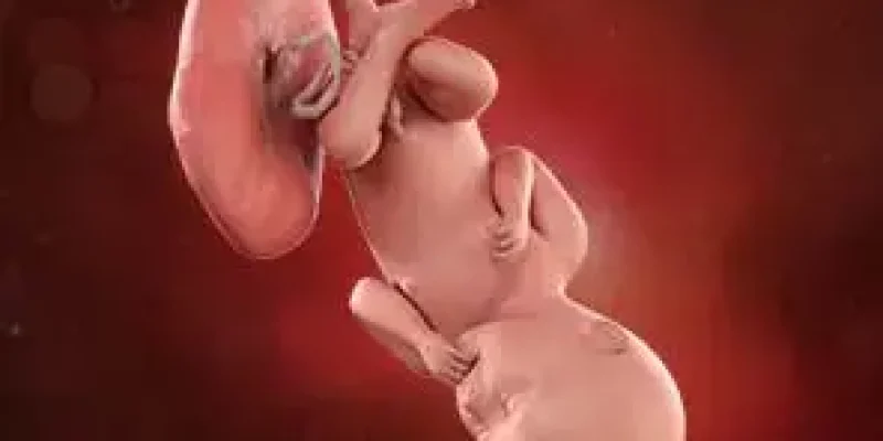 Semana 36 de embarazo: El arte de esperar