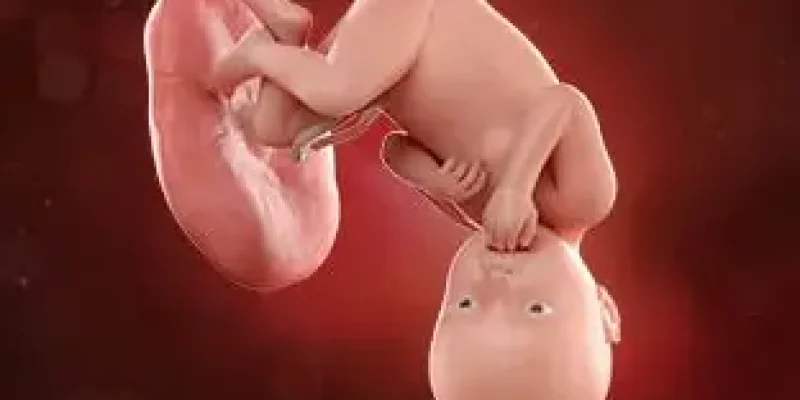 Semana 38 de embarazo: Todo listo para el nacimiento