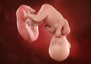 En este momento estás viendo Semana 38 de embarazo: Todo listo para el nacimiento