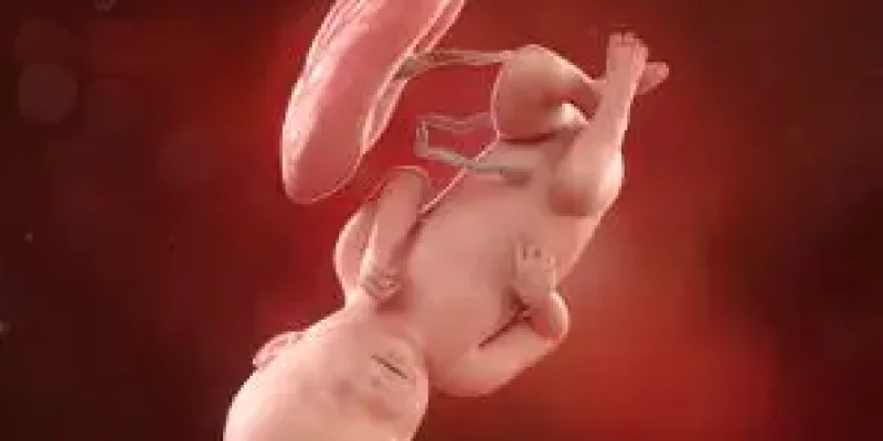 Semana 39 de embarazo: Cuenta atrás final