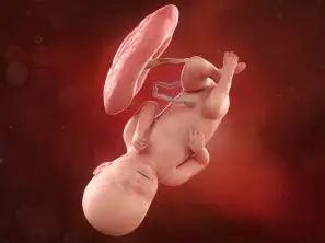 En este momento estás viendo Semana 39 de embarazo: Cuenta atrás final