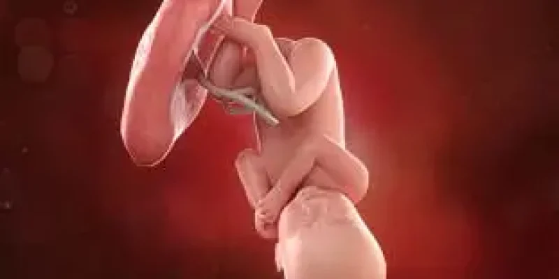 Semana 40 de embarazo: ¡Llegó el gran día!