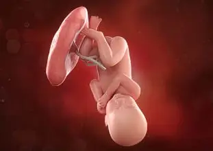 En este momento estás viendo Semana 40 de embarazo: ¡Llegó el gran día!