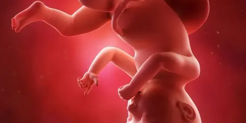 Semana 41 de embarazo: A punto de conoceros