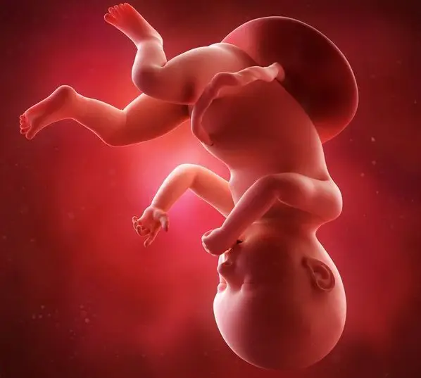 En este momento estás viendo Semana 41 de embarazo: A punto de conoceros