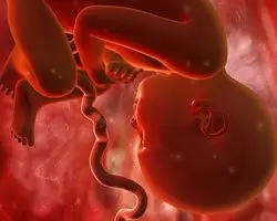 Lee más sobre el artículo Semana 35 de embarazo: ¡Ya ocupa casi todo el útero!