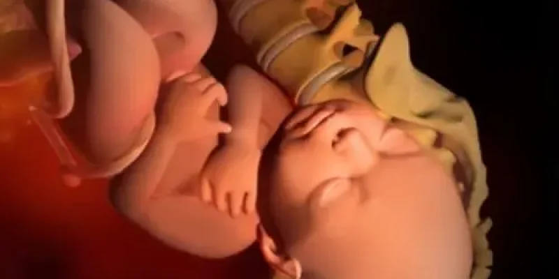 Semana 42 de embarazo: Última semana