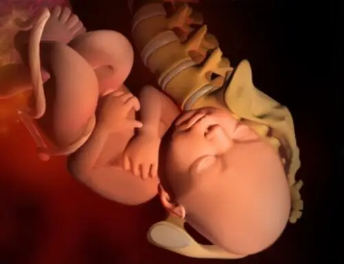 Lee más sobre el artículo Semana 42 de embarazo: Última semana